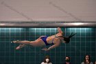 Women's Diving  Wheaton College Women’s Diving vs Mount Holyoke College. - Photo by Keith Nordstrom : Wheaton, Swimming & Diving